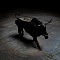Bull