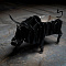Bull